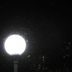 bugs flying near light